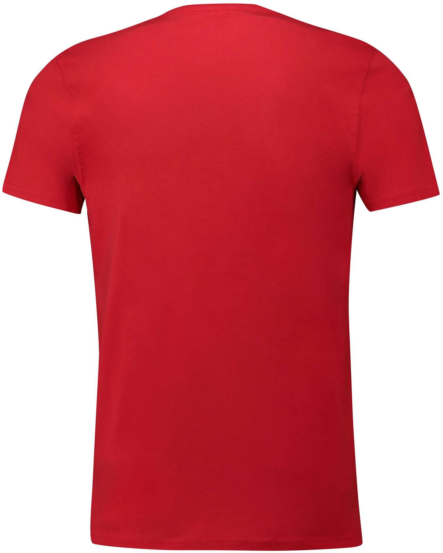 Fanatics - NHL Detroit Red Wings Graphic Wordmark T-Shirt - Rot